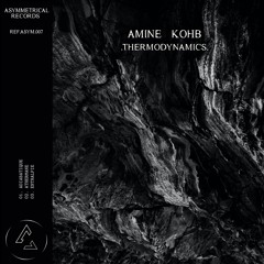 Amine Kohb | Thermodynamics Ep [ASYM007]