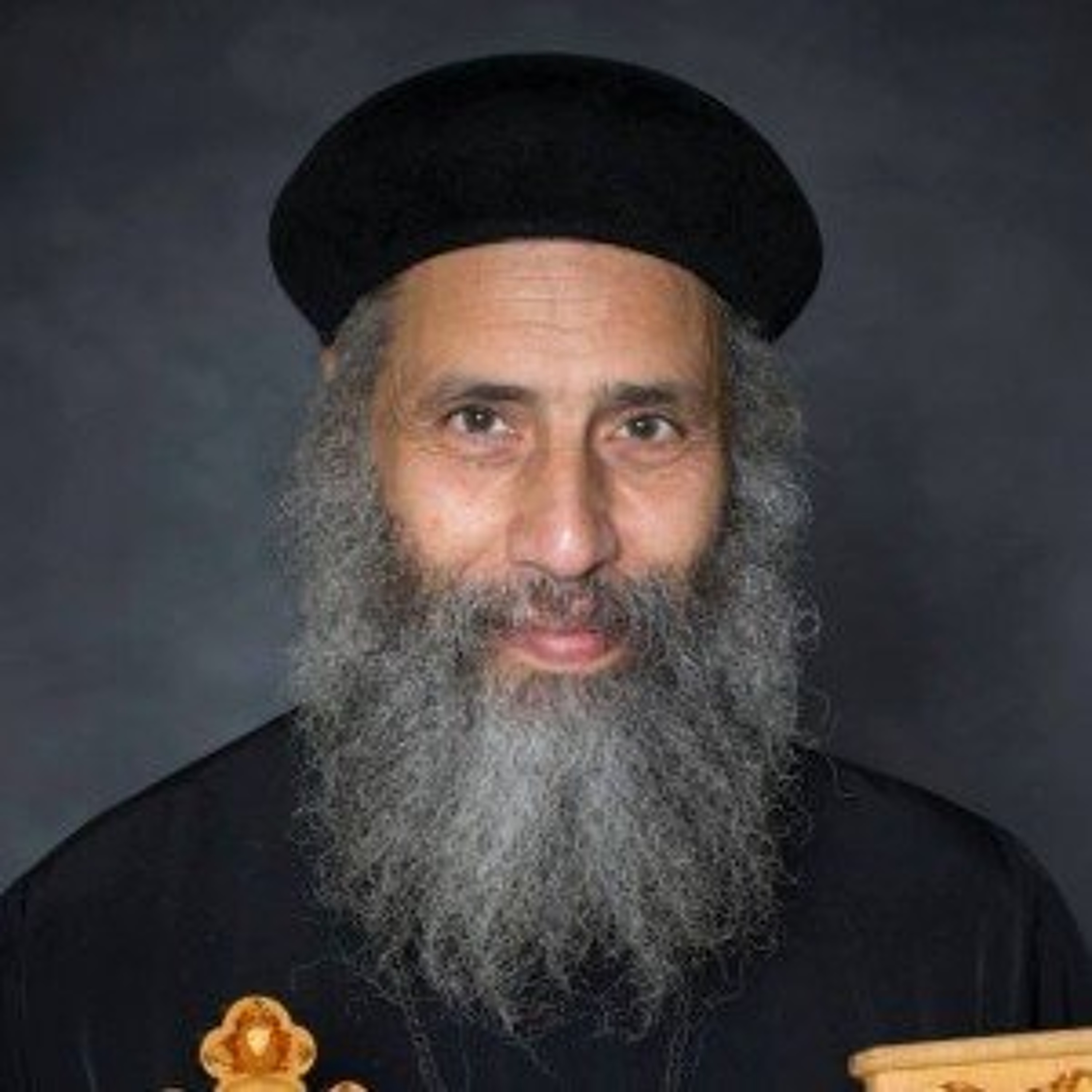 The Motherhood of St. Mary - Fr. Abraam Georgy - Nahda 2026 episode artwork