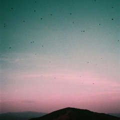 Corpus# Forêts, Paysages Mouvants - Jeu De Paume, Paris 2025