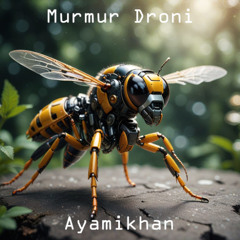 Murmur Droni