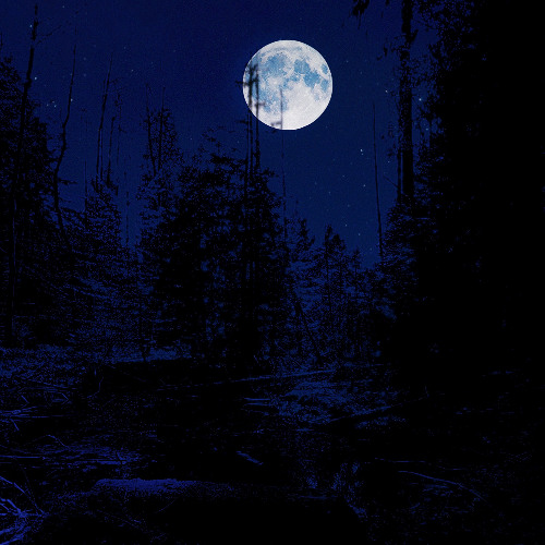 creepy creek "the gloomy walk"