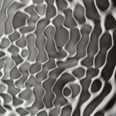 nos va te botar ( mc vn da cria , mc menor 17 &  mc nauan) - 2k26