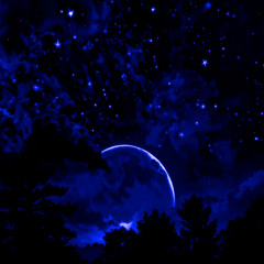 Where The Stars Are Above