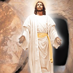 Born to Rise Again