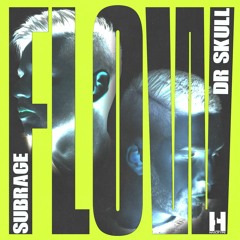 Dr Skull X Subrage - Flow (Original Mix)