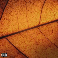 Shayan Roohi X Sicatch - Bihess