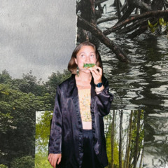 chapter one: dream state