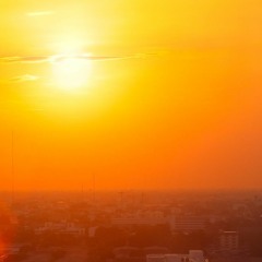 Sayonara Summer 2024