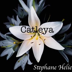Catleya