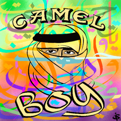 Camel Boy