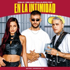 090. Big One feat. Emilia, Callejero Fino - En La Intimidad (CROSSOVER #1) [DJ Wos] (6 vrs)