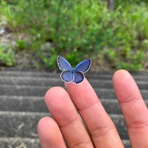 Blessing(Beats by 98)