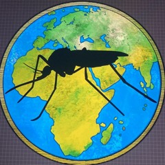 DeMücke@Dez.22 Alex b-day.mp3