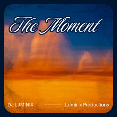 THE MOMENT - DJ LUMINIX