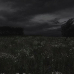thoughtless