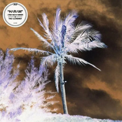 Armand Hammer & The Alchemist - Sir Benni Miles (Instrumental)