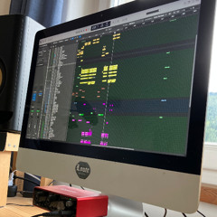 Julian Sommer x Frenzy - Eine Nacht in Arenal (NEGGDAVE x FAVY Bootleg) (Extended Master)