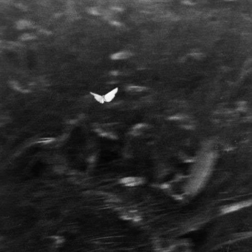 ONE NIGHT - missin4u x kxixx