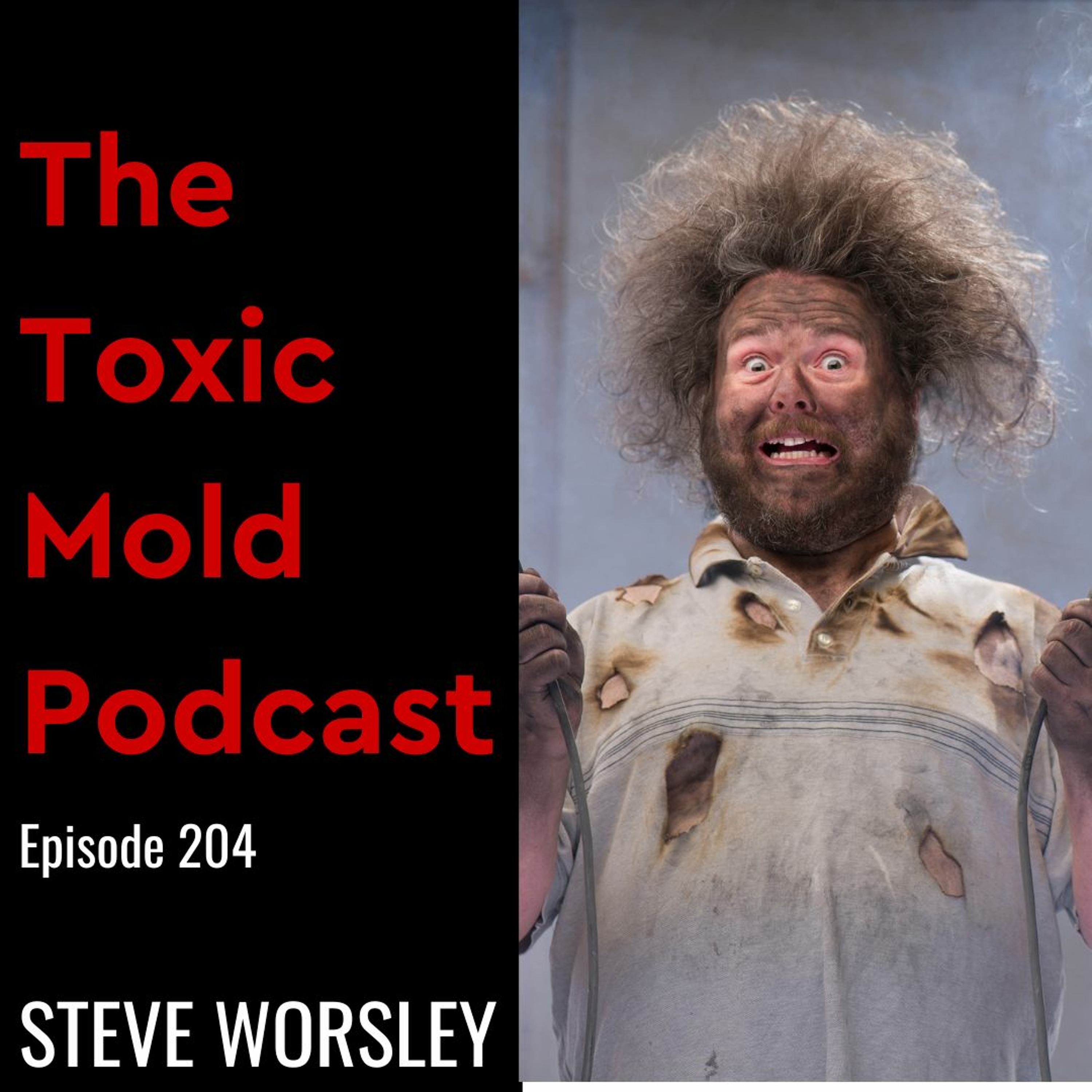 EP 204: DIY Toxic Mold Testing