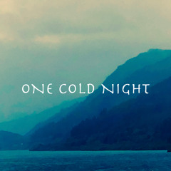 One Cold Night