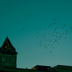 Falling Forever Together