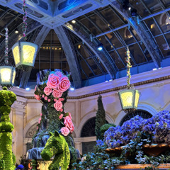 dieg - Molly (prod. ladies, yxngwaga)