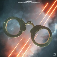 Control Room & Roamy - Stereo Criminal