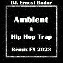FL Ambient & Hip Hop Trap Remix FX 2023