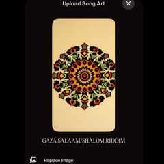 Gaza Salam Shalom Riddim.mp3
