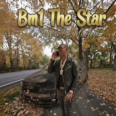 Bm1 The Star Muse & Arte