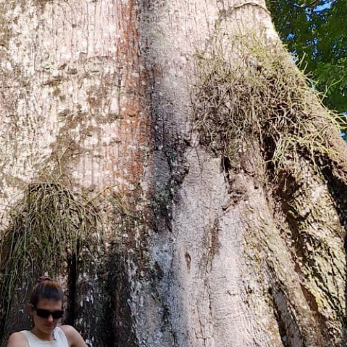 NTS Radio Nov. 19 ('25) w/ Ramzilla