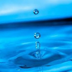 From the Magic Flute - Mozart מוצרט חליל הקסם