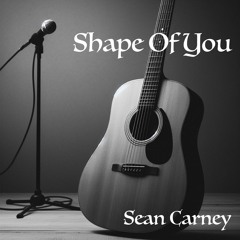 Shape Of You - Live Looping Cover