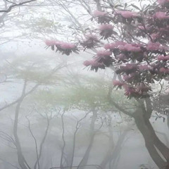 Rory in early 20s - リサがいない(slowed + reverb)