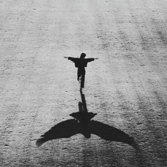 Take Flight