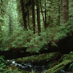 D&D session music playlist
