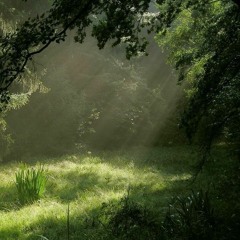 Green vibe