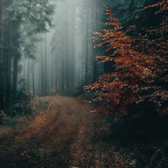 hart aber hertzlich - dance with me