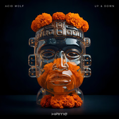 Acid Wolf - Up & Down