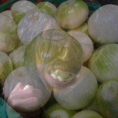 3. Onion