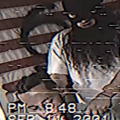 F T P (feat. $uicideboys)