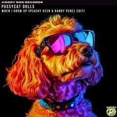 Pussycat Dolls - When I Grow Up (Peachy Keen X Randy Perez Edit) Free Download
