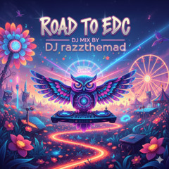 Road To EDC 2025 Latin Tech House by razzthemad