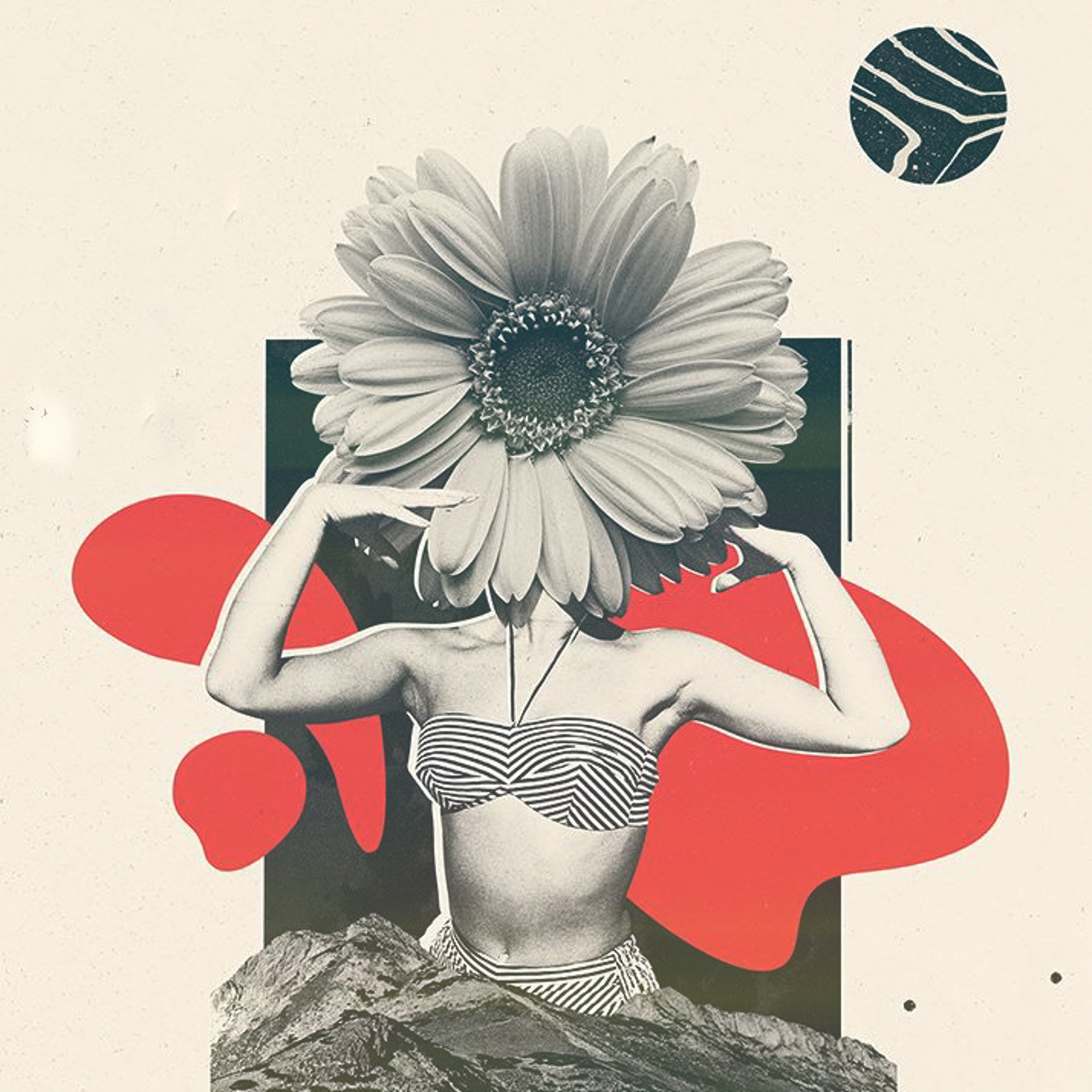 eN VOCUS episode artwork