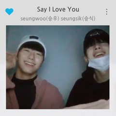 빅톤(VICTON)승우,승식 - Say I Love You