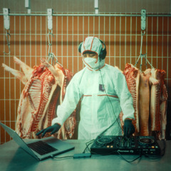 digging into trip 117 butchers (experiment music)