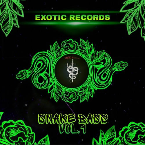 Bassad - WTF