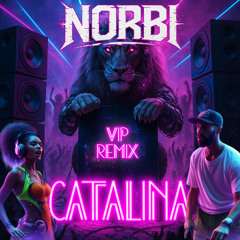 NORBI - CATALINA Taiwan Mc Ft Paloma Pradal Remix (VIP MIX)