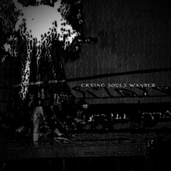 CRYING SOULS WANDER