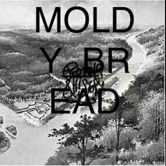 Moldy Bread